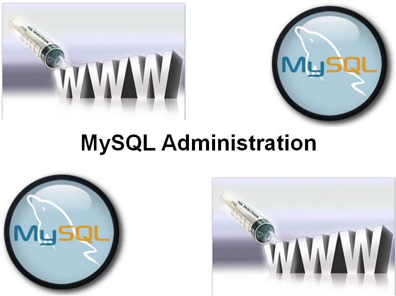 Cursus MySQL Administration