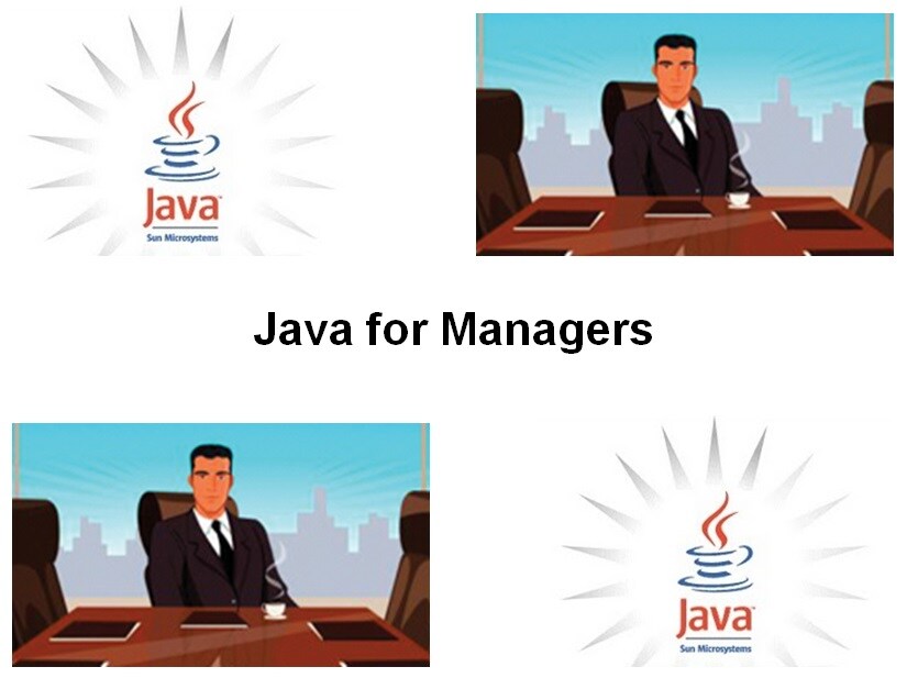 Cursus Java for Managers