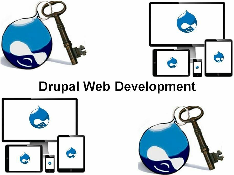 Cursus Drupal Web Development