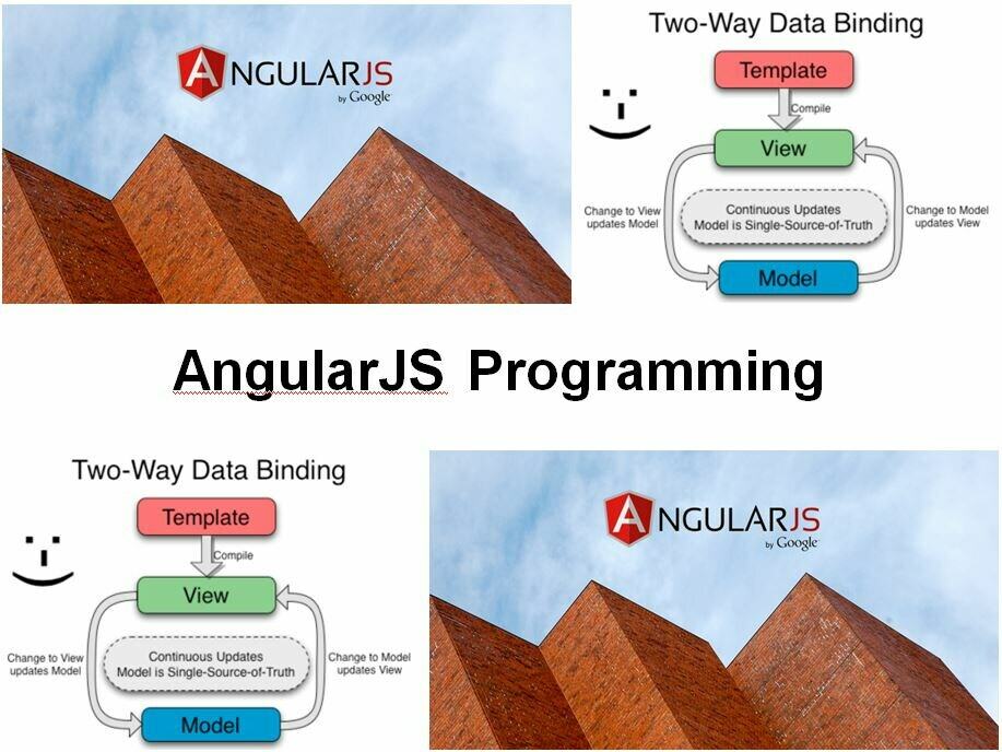 INT700 -AngularJS-Programming 