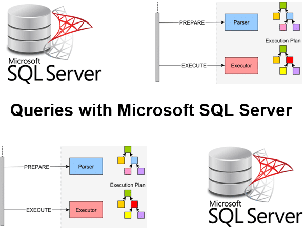 Course Queries with Microsoft SQL
