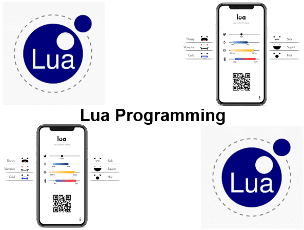 Course Lua Programming