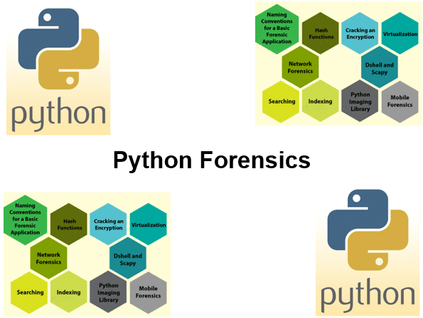 Cursus Python Forensics
